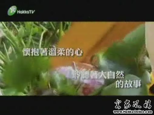 2007新竹之春音樂會——又見阿淘哥宣传影片截图